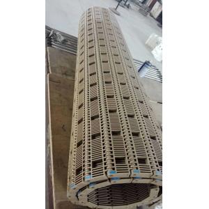 Plastic Modular Chain Conveyor Belt Parts for Spain Processing Packing