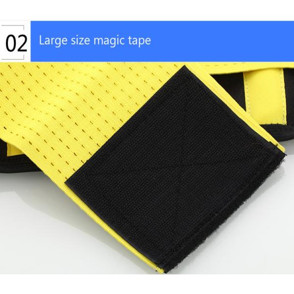 Neoprene Breathable Adjustable Colorful Fitness Back Waist Support Belt for Exercise and Sport