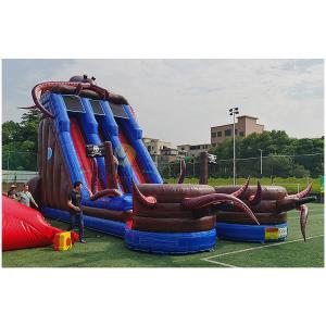 Octopus Inflatable Water Slide Small Pool Backyard Inflatable Water Slide For