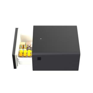 65L Household Appliance Refrigerator The Ultimate Smart Furniture for Your