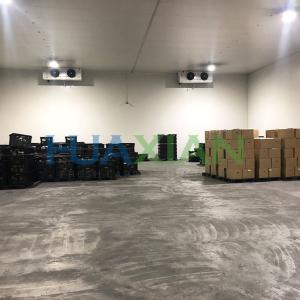 -18 Degrees Celcius Building Food Storage Walk in Freezer