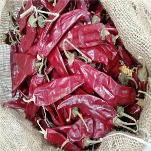 China Grade A Dried Guajillo Chili Red Without Stem Sweet Pepper on sale