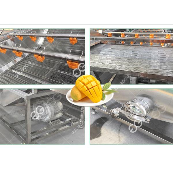 Sterilization And Disinfection Mango Washing Machine Fruit Washing Machine Factory