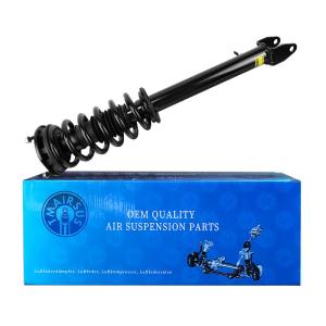 Tesla Model S RWD Coil Spring Shock Absorber Front Left and Right 1015619-01-E