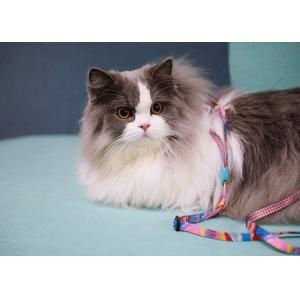 Adjustable Escape Proof Cat Lead And Harness Soft Breathable