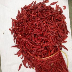 Cheap Flavor Strong Pungent Chilli Flavor Dried Red Chilli Peppers Moisture 12%max for Hot Pot/ Sichuan Cuisine Cooking for sale