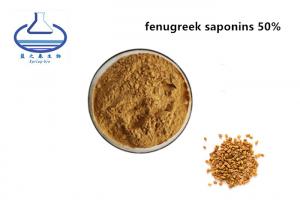 China Food Grade 50% Fenugreek Seed Extract Fenugreek Saponins Powder on sale