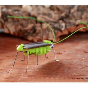 ECO Friendly Green Solar Powered Grasshopper For Kids Customized Logo