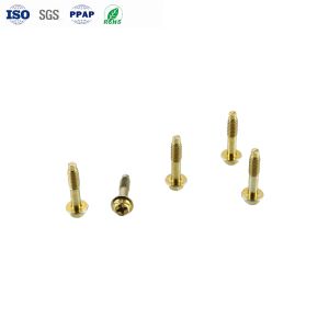 M4 Carbon Steel Yellow Zinc Phillips Hexagon Flange Head Dog Tail Screws with ±0