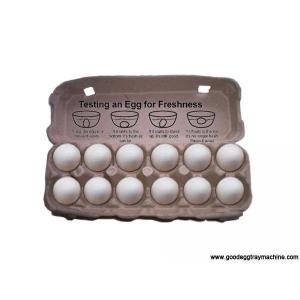 Egg Tray Machine (FZ-ZMW-4)