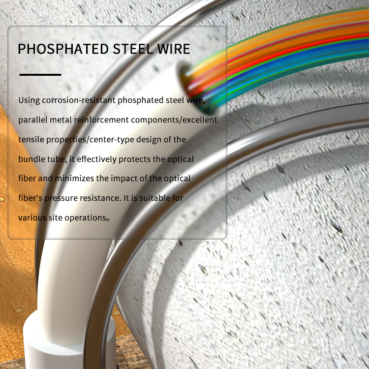 144 Core G652D Armored Fiber Optic Cable with Corrosion Resistant and Low Loss