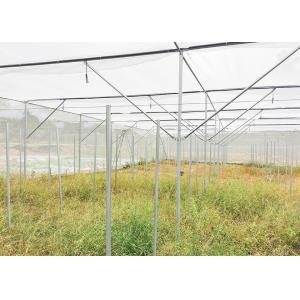 Multi Span Shade Net Greenhouse Rustproof For Strawberry And Mushroom
