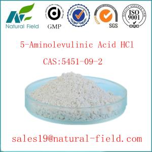 China 5-ala hot selling in EU and USA 5-ALA HCL 5451-09-2 5-Aminolevulinic Acid HCl on sale