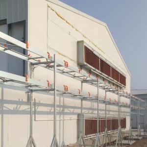 Automatic Quail Feeding and Drinking System For Poultry House Equipment, Poultry Feeder For Broiler and Breeder