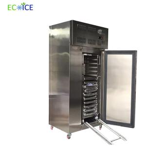 IQF Freezer Tunnel Small Blast Chiller Small Plate Freezer Refrigeration