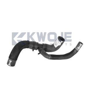 OEM F20-1303211 Auto Parts Engine Radiator Coolant Water Outlet Hose Engine For