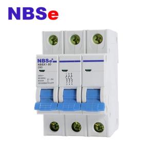China IEC60898 Double connection 2P 100A Main Switch MCB Circuit Breakers on sale China IEC60898 Double connection 2P 100A Main Switch MCB Circuit Breakers on sale