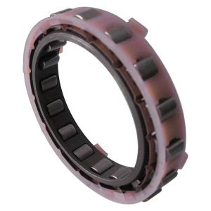 one way sprag cage Freewheels BWX133590A assembly with sprags and double cages