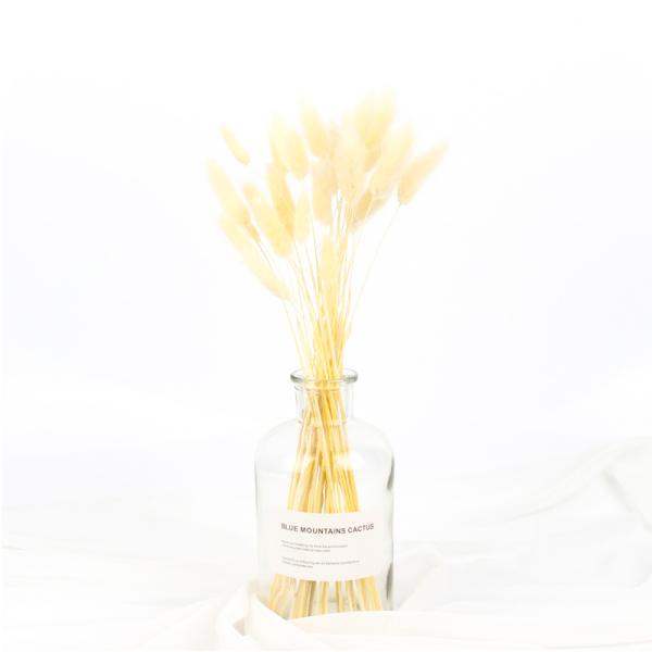 Real Touch Beautiful Dried Flowers Rabbit Tail Grass Preserved Lagurus Ovatus