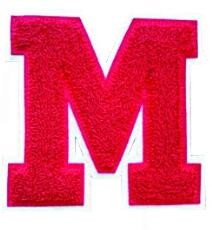 Custom embroidery chenille Hot Selling Promotion Custom Patch Embroidery patches