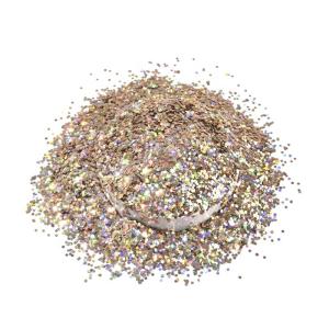 Super Shiny Epoxy Chunky Champagne Glitter PET Solvent Resistance Customized