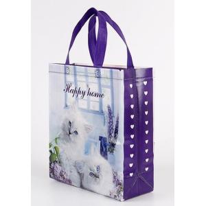 Custom Promotional shopping tote fabric polypropylene laminated pp non woven bag