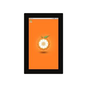 5 Inch Capacitive Touch Screen 720X1280 Capacitive Touchscreens 350 Cd/M2