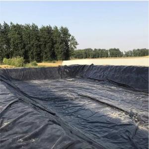 Cheap Double Smooth HDPE Geomembrane Fish Pond Liner 0.3mm 0.8mm for Aquaculture Needs for sale