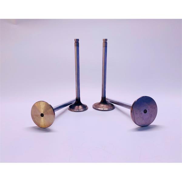 Antiwear 3924492 3921444 Diesel Engine Valve For KOMATSU 6D114 DI Cummins 6CT8.3 DI