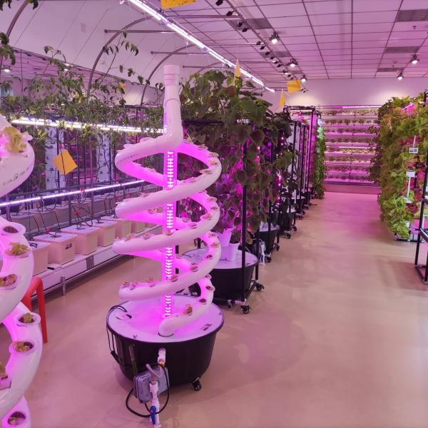Quality Plants Double Helix Hydroponic Rotating Farming Spiral NFT Hydroponic System wholesale
