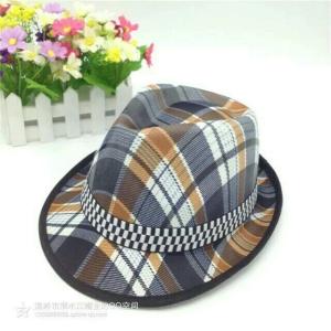 Men's Summer Wide Brim Wool Fedora Hat With Checked Strips / Woven Label