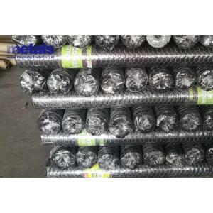 Hot Dipped Galvanized Hexagonal Wire Mesh 0.5mm for Poultry Farming