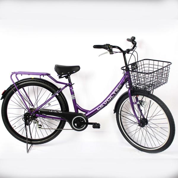 Adults Carbon City Bikes 24 Inch Classic Retro Bicycles Six Speed