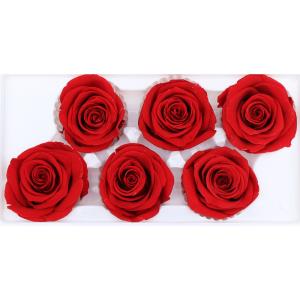 Allergy Friendly 5-6cm Preserved Rose Flower Heads