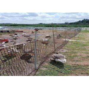 Basalt Mesh Fiberglass Geogrid 8m Width 100m Length