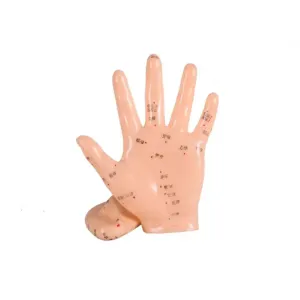 China Acupuncture Body Model Flexible Joints for Realistic Positioning and Easy to Clean Surface in Training on sale