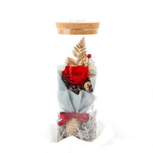 Preserved Babysbreath Wish In A Bottle Gift With Beautiful Appearance
