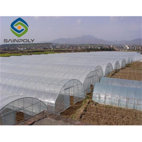 Quality 275g/m2 100m Plastic Gutter Single Span Greenhouse wholesale