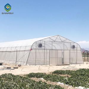 China Agricultural Tunnel PE Film Greenhouse With Drip Irrigation System on sale