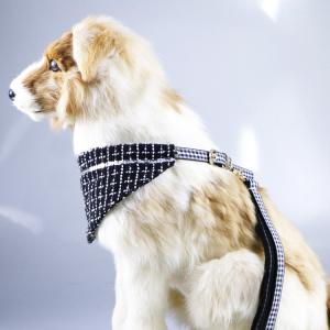 Neoprene Harness Leash Set Metal Buckle Runing Luxury Dog Collars
