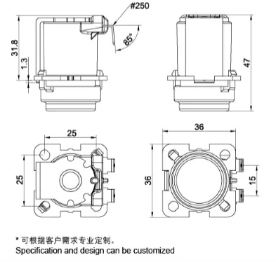 25mm*25mm AC220V 5W Two Way Solenoid Valve