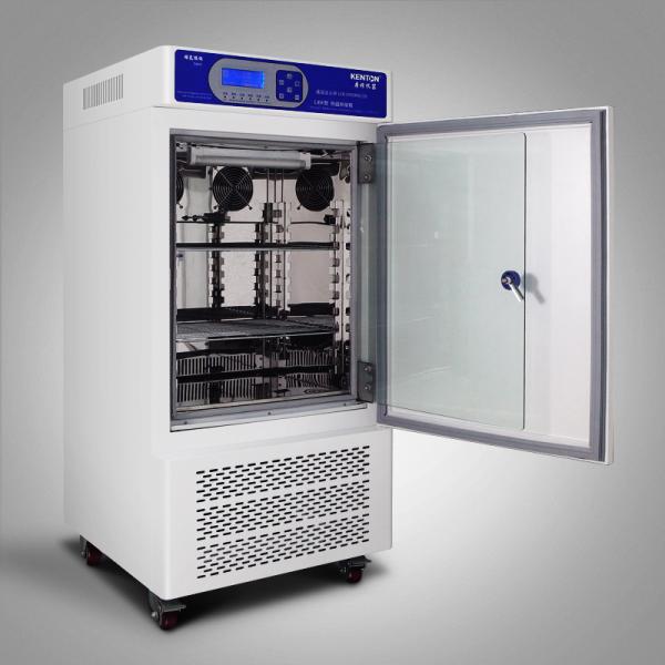 Quality Constant Temperature And Humidity Environment Climate Test Chamber With Illumination 800L wholesale