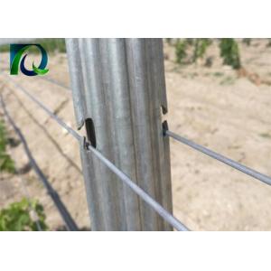 Silver Color Vineyard Accessories Grape Trellis Posts With C Shaped Section
