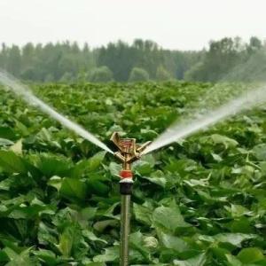 Hydroponics Glass Greenhouse with Shading Screen System Package Gross Weight 80