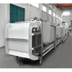 Automatic Pickle Processing Equipment With POM Food Grade Plastics Conveyor