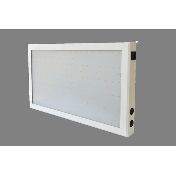 Quality Double Switch Full Spectrum Led Grow Light For Indoor Plants Veg And Flower wholesale