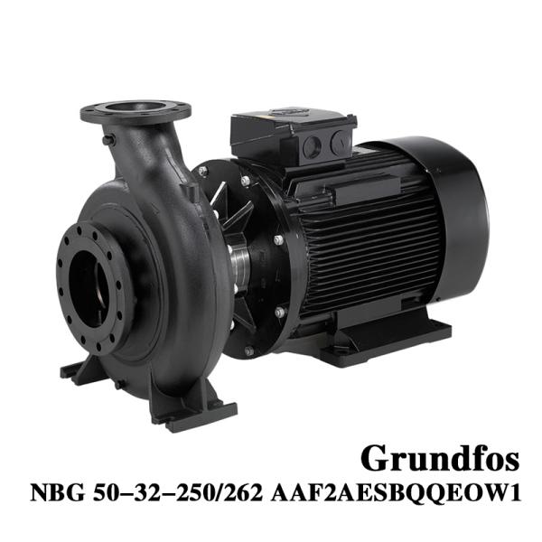 Grundfos NBG 50-32-250/262 Vertical or Horizontal Mounting Horizontal Centrifuga