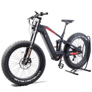 48V 20Ah Lithium Battery Color LCD Display Electric Mountain Bike Central Motor