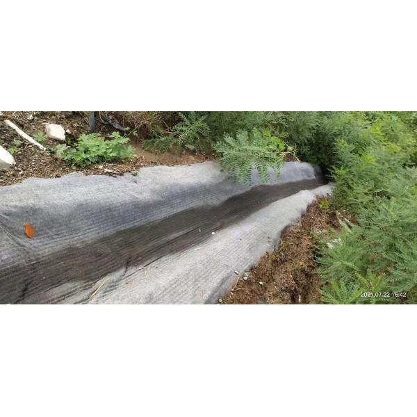 Quality Cement Sand Concrete Erosion Mats GCCM Rolls For Vegetation Control wholesale