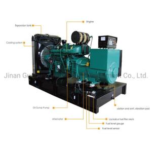 400kw Natural Gas Generator Sets with ISO SGS and Environmentally Friendly